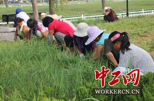 QQ鎴浘20160815150749.jpg QQ鎴浘20160815150749.jpg